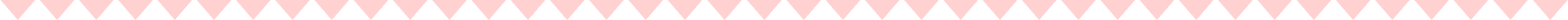 bunting-coral-light-1 bunting-coral-light-1